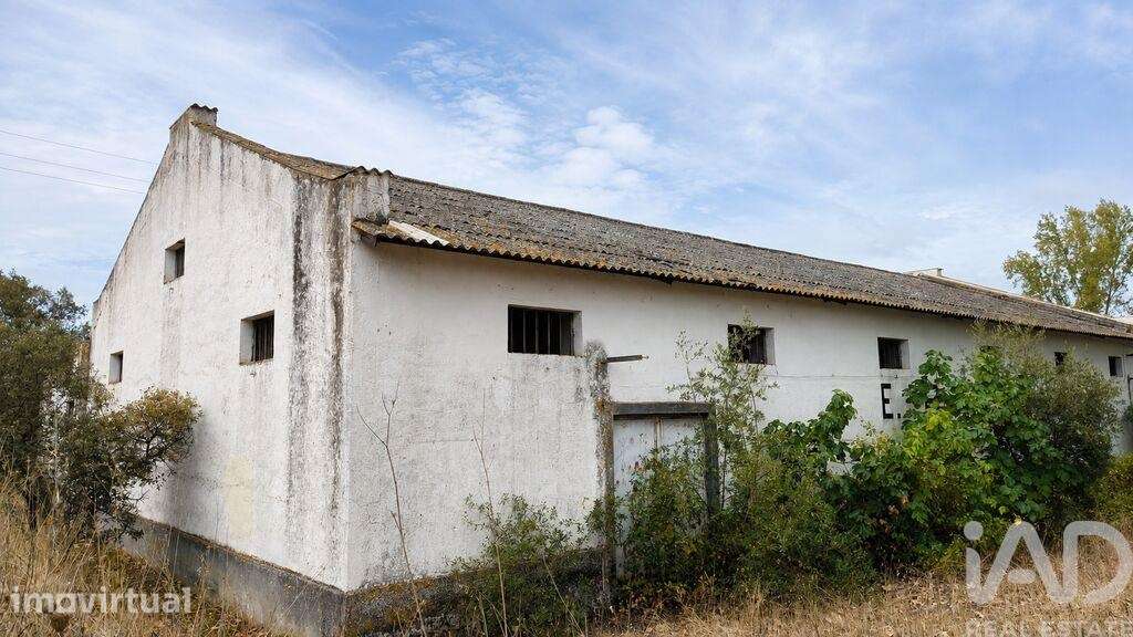 Terreno para construção em Cabeço de Vide - Grande imagem: 4/12