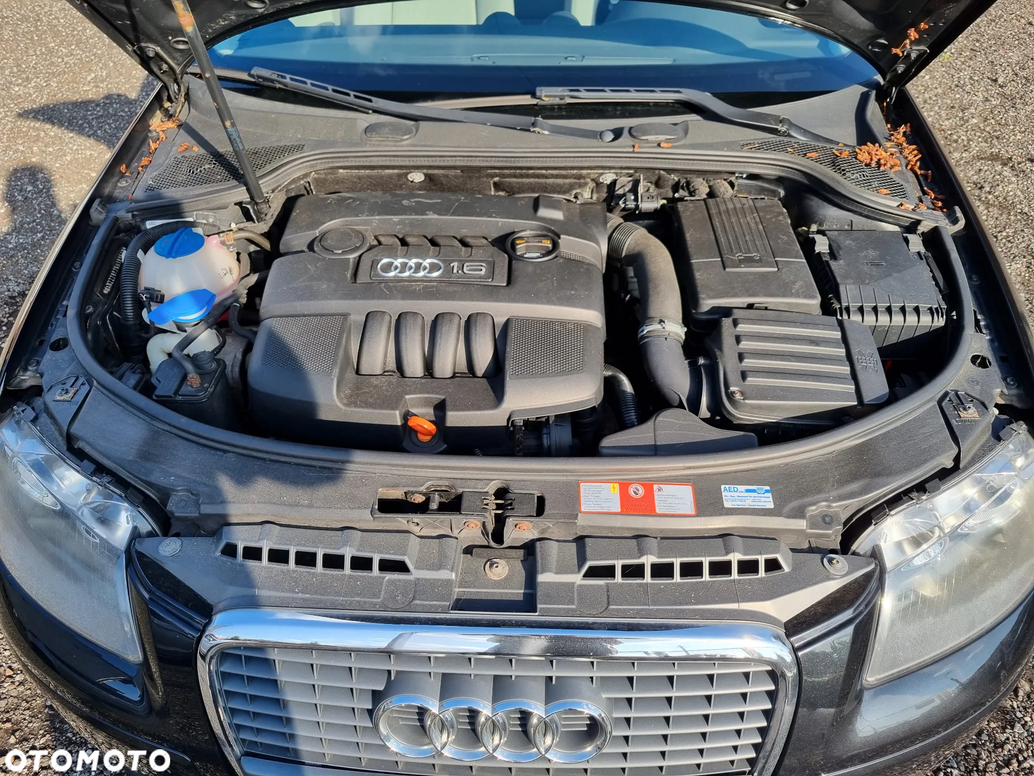 Audi A3 1.6 Limited Edition - 19
