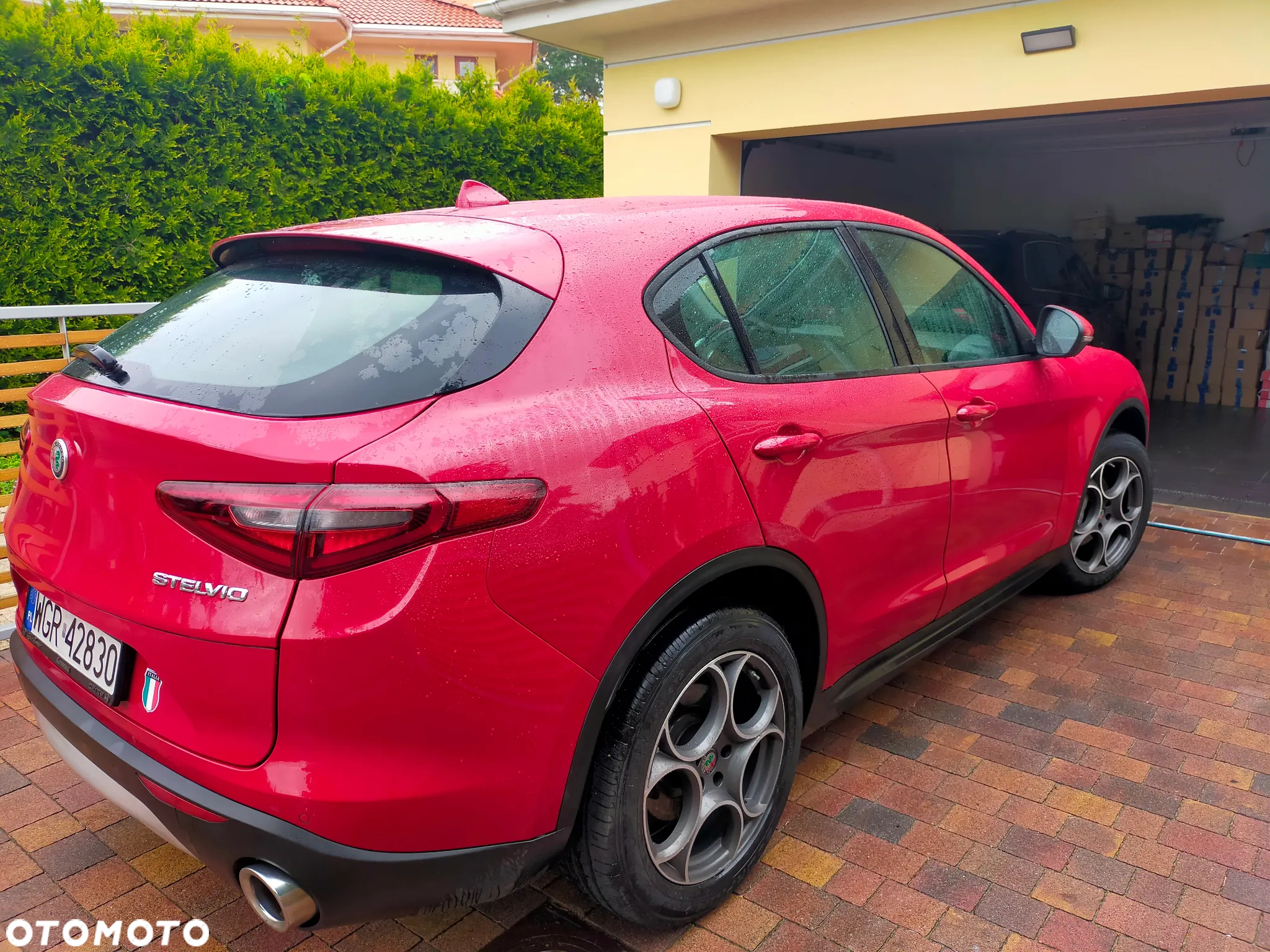 Alfa Romeo Stelvio 2.0 Turbo Business Q4 - 6