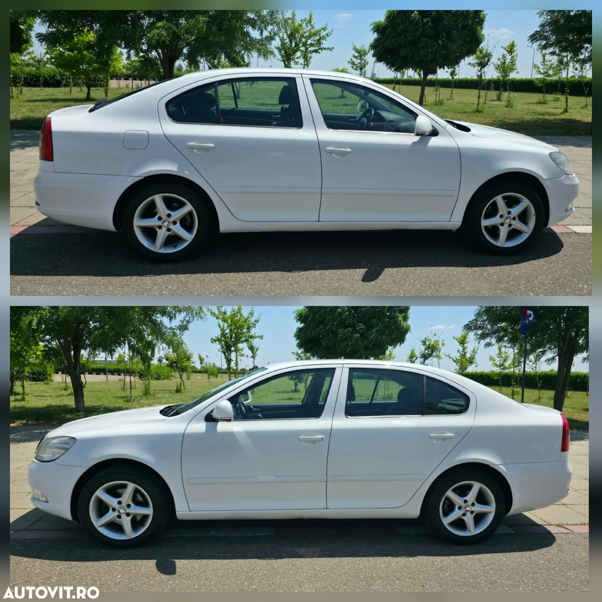 Skoda Octavia 1.6 TDI AMBITION - 3
