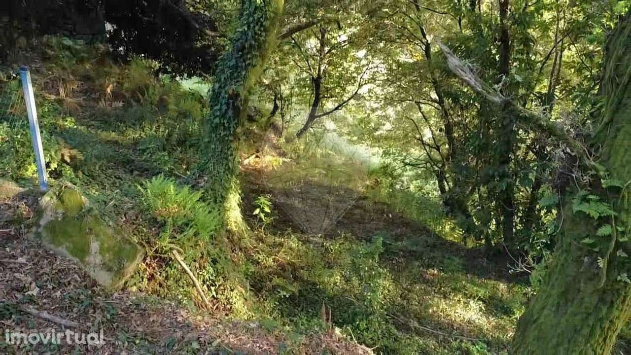 Moradia para restauro em Ribeira do Neiva, Vila Verde! - Grande imagem: 5/18