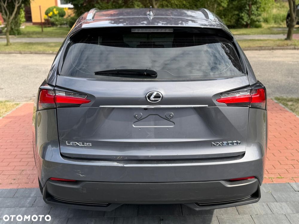 Lexus NX - 6