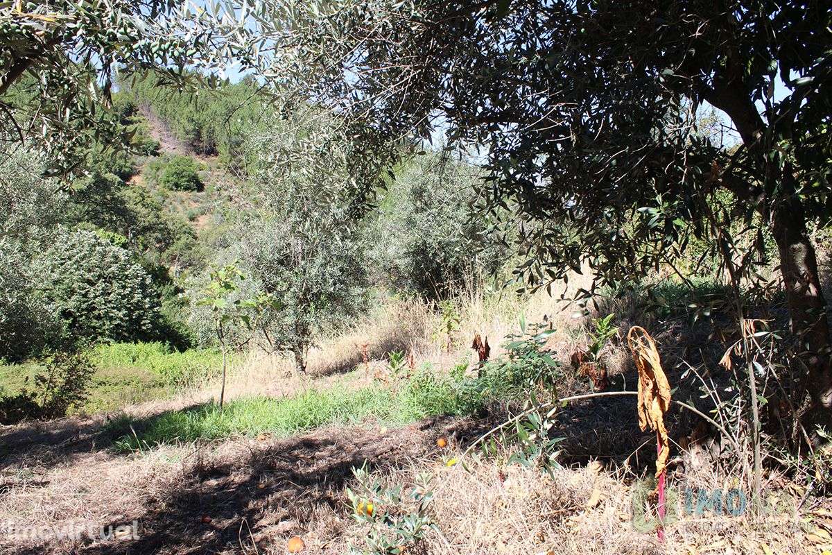 Imóvel Rural - Grande imagem: 5/32