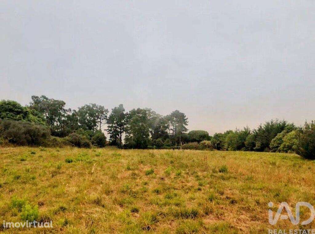 Terreno em Colares de 11640,00 m2 - Grande imagem: 3/7