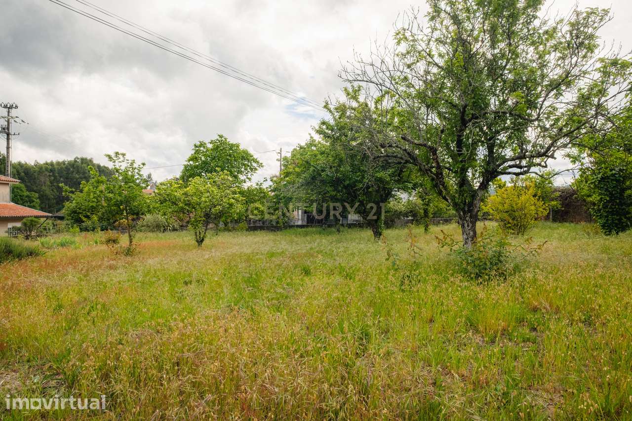 Terreno para construção - Oportunidade única em Arcozelo das Maias - Grande imagem: 5/24