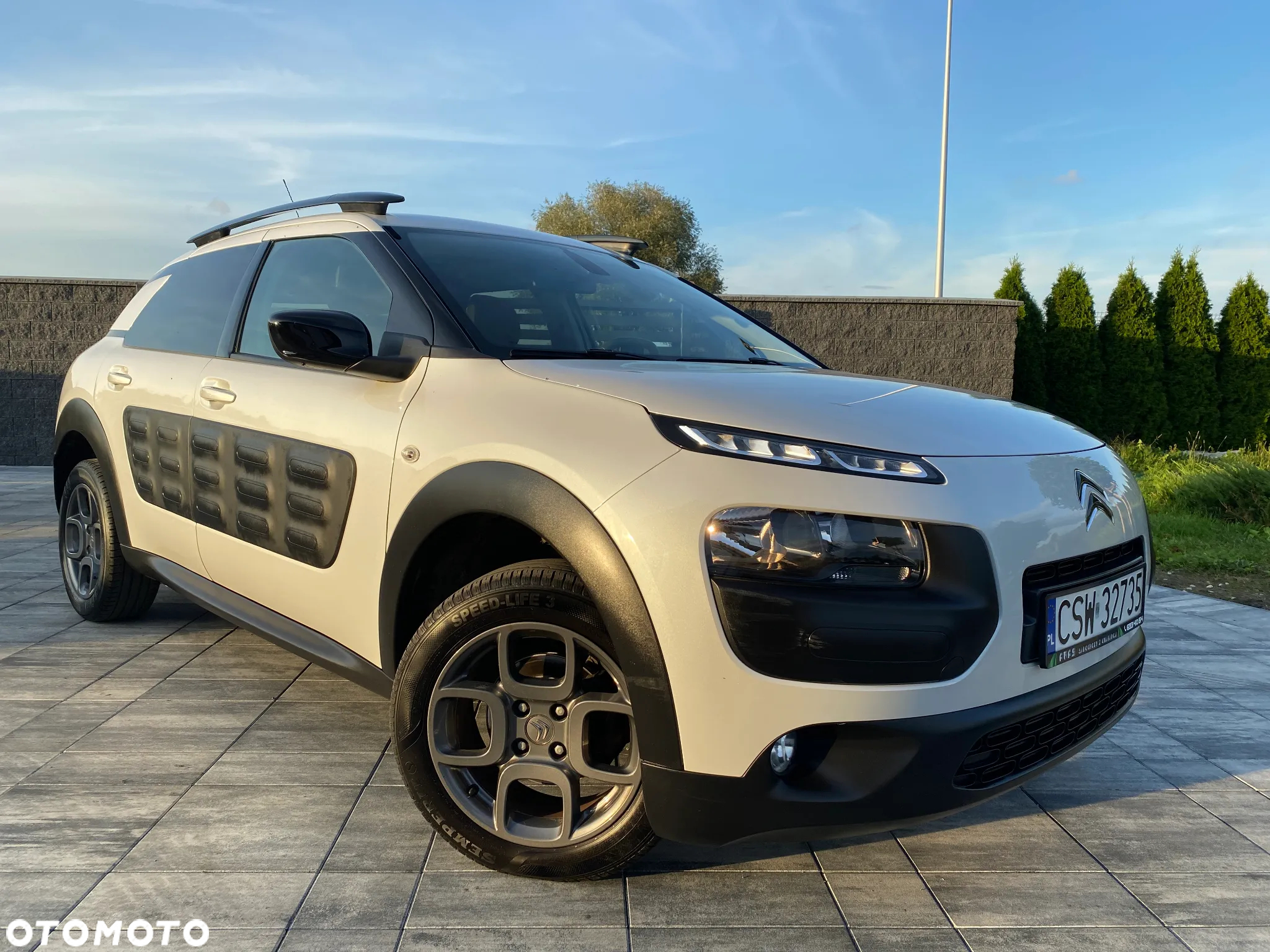 Citroën C4 Cactus 1.2 PureTech Shine Edition S&S - 14