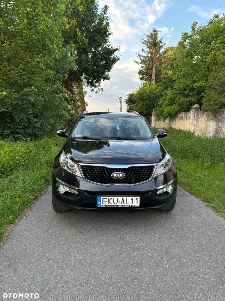 Kia Sportage - 1