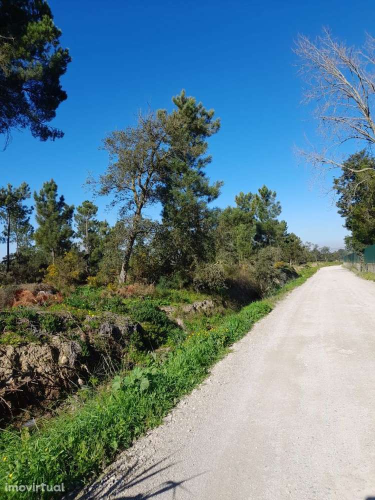 Azeitão Terreno com 10500 M2 de gaveto. - Grande imagem: 2/11