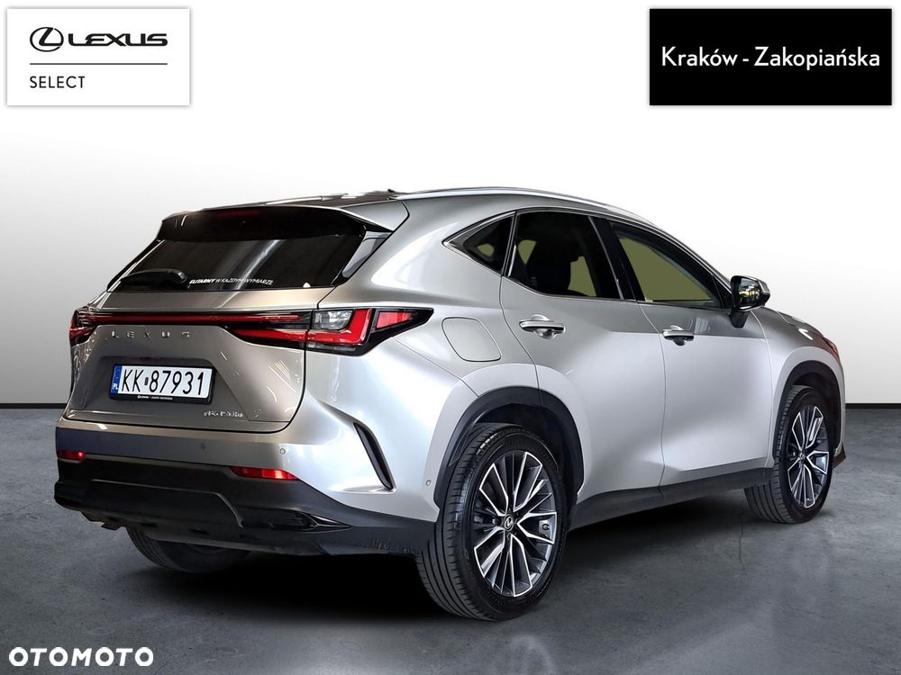 Lexus NX - 10