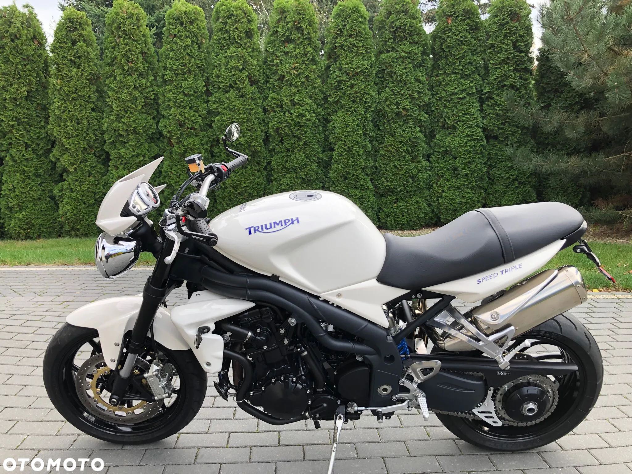 Triumph Speed Triple - 29