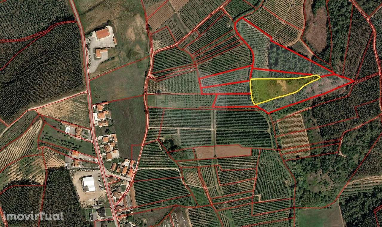 Terreno  para venda - Grande imagem: 5/16