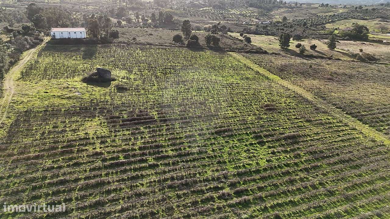 Terreno  para venda - Grande imagem: 4/14