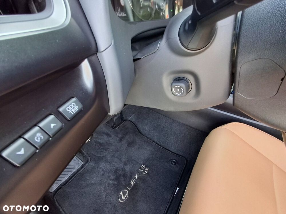 Lexus UX 250h GPF F Sport Design 2WD - 12