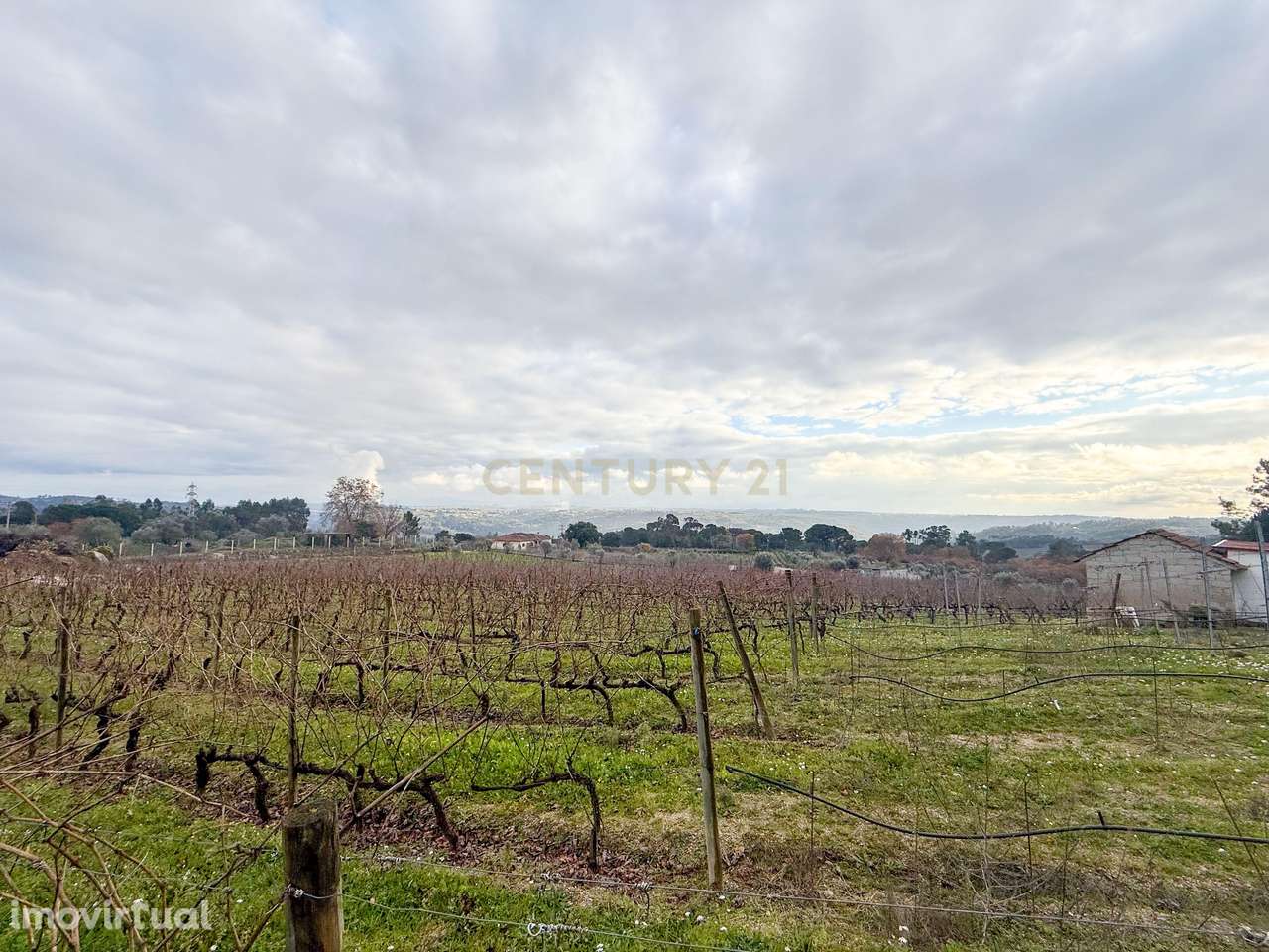 Terreno agrícola em São João de Lourosa, Viseu - Grande imagem: 2/8