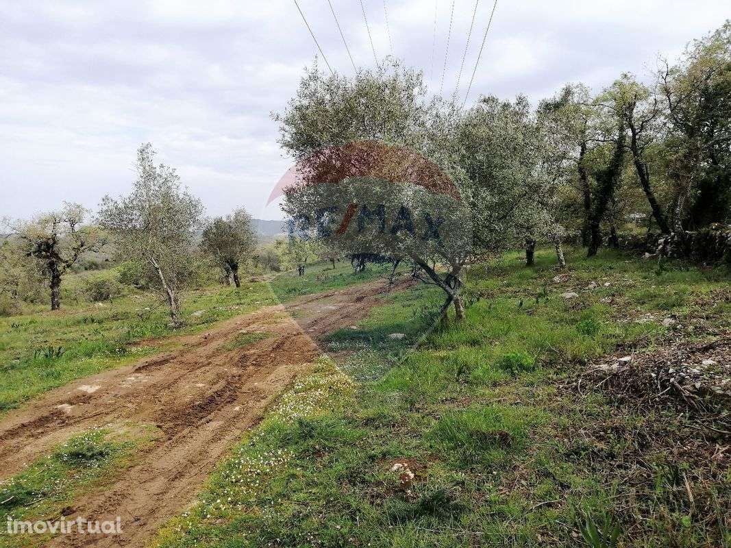 Terreno  para venda - Grande imagem: 5/8