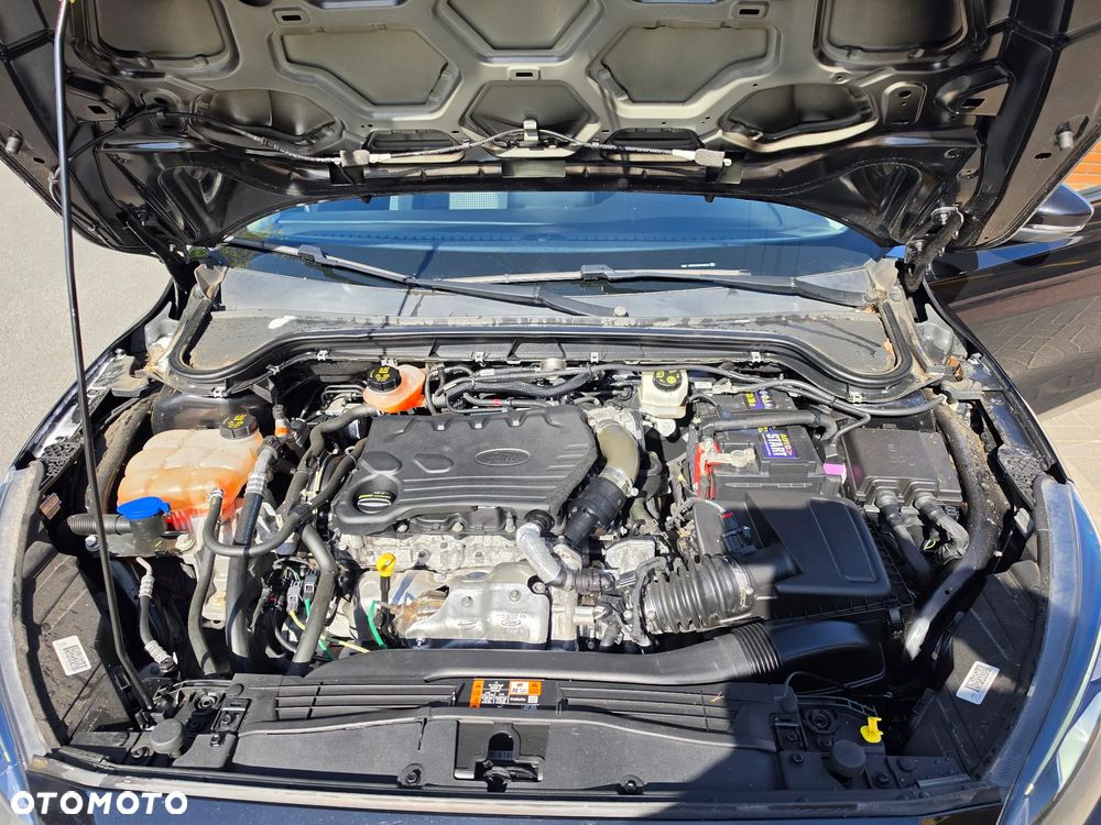 Ford Focus - 24