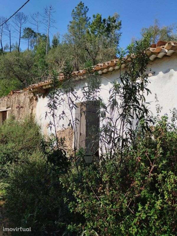 Terreno  para venda - Grande imagem: 2/16