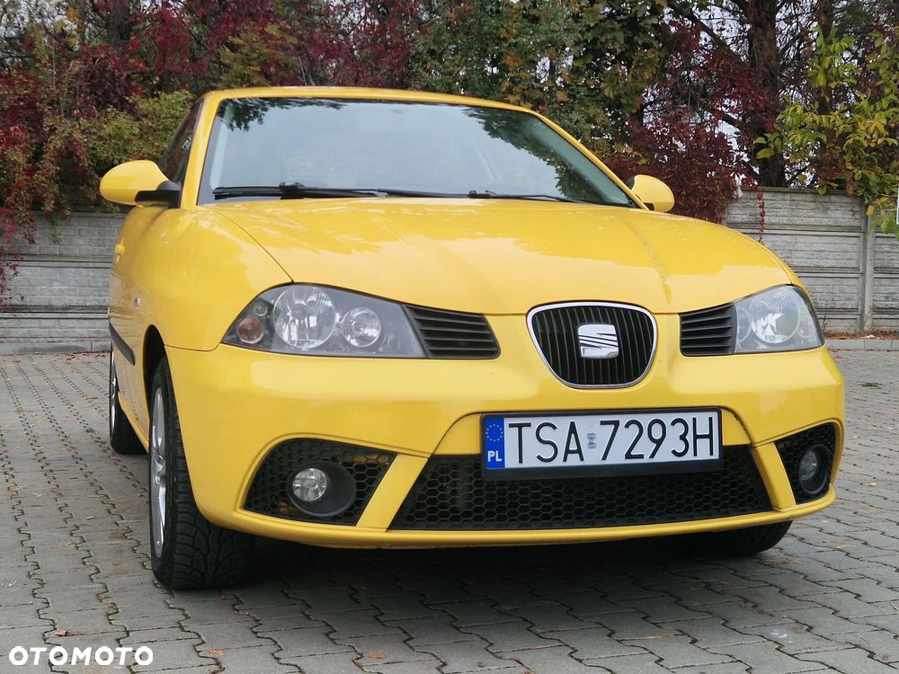 Seat Ibiza 2008 photo 2