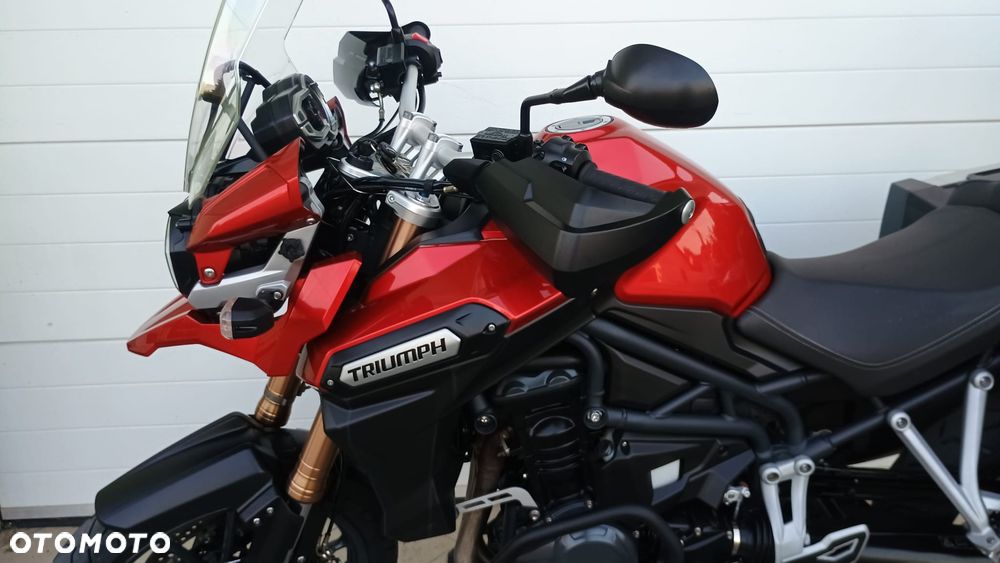 Triumph Tiger - 17