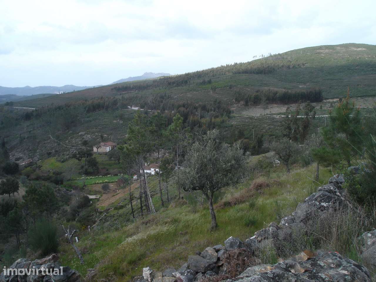 Terreno urbano de 3300m² no campo - Grande imagem: 2/17
