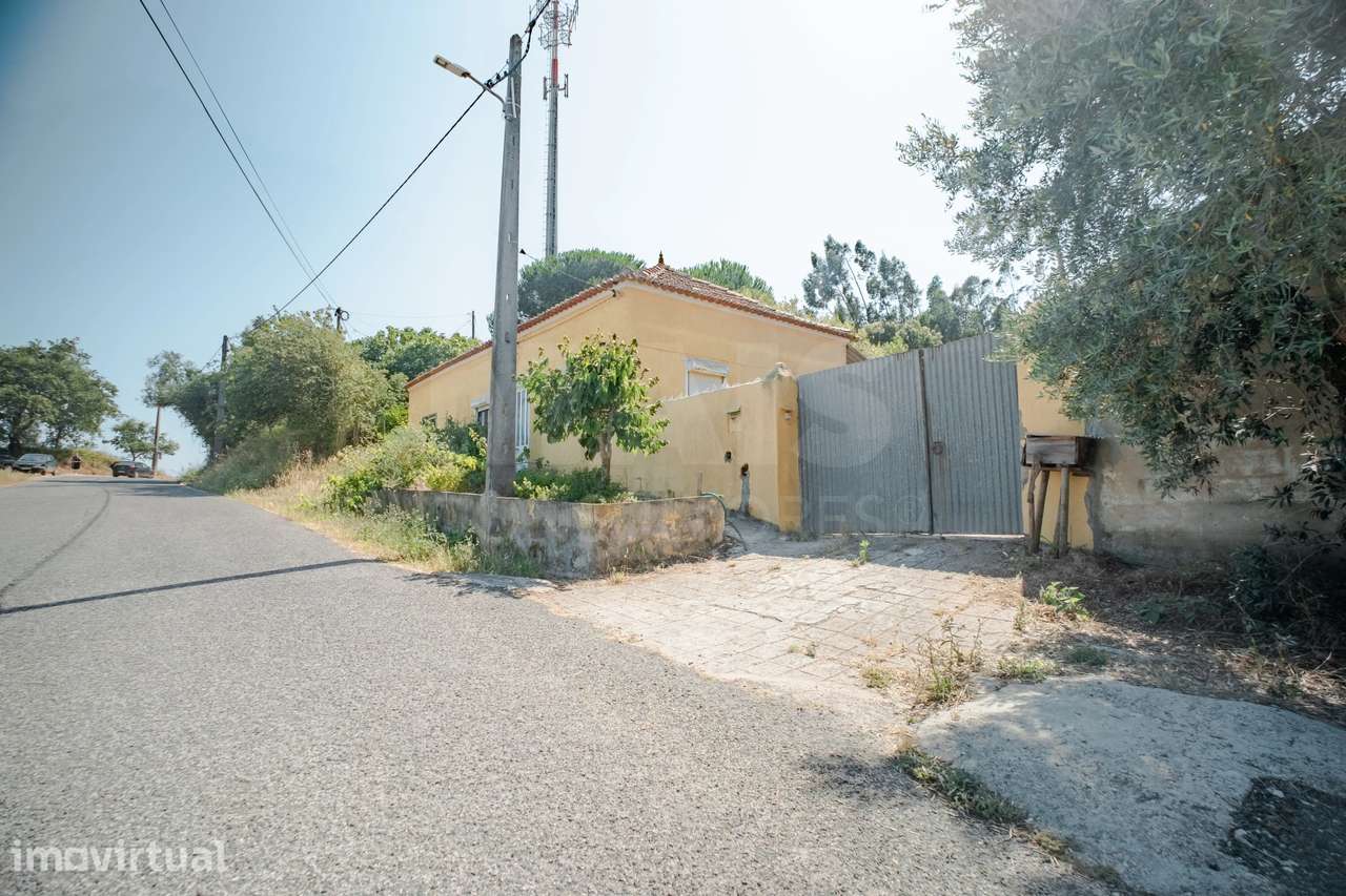 Quintinha T3 com 7.616 m² de terreno urbano e anexos (Casal do Rei) - Grande imagem: 3/39