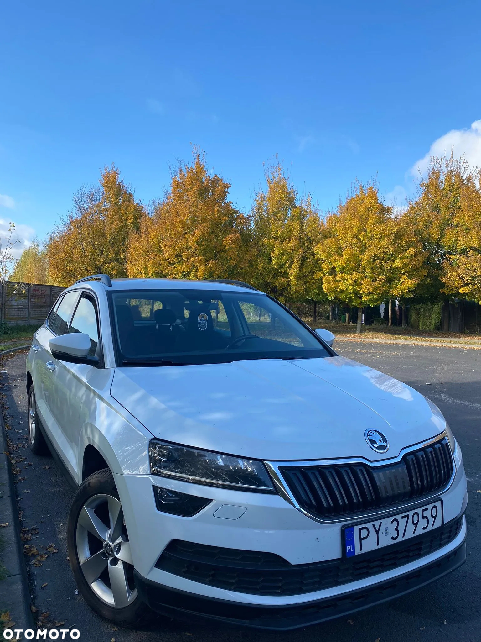 Skoda Karoq 1.6 TDI 4x2 Ambition DSG - 11