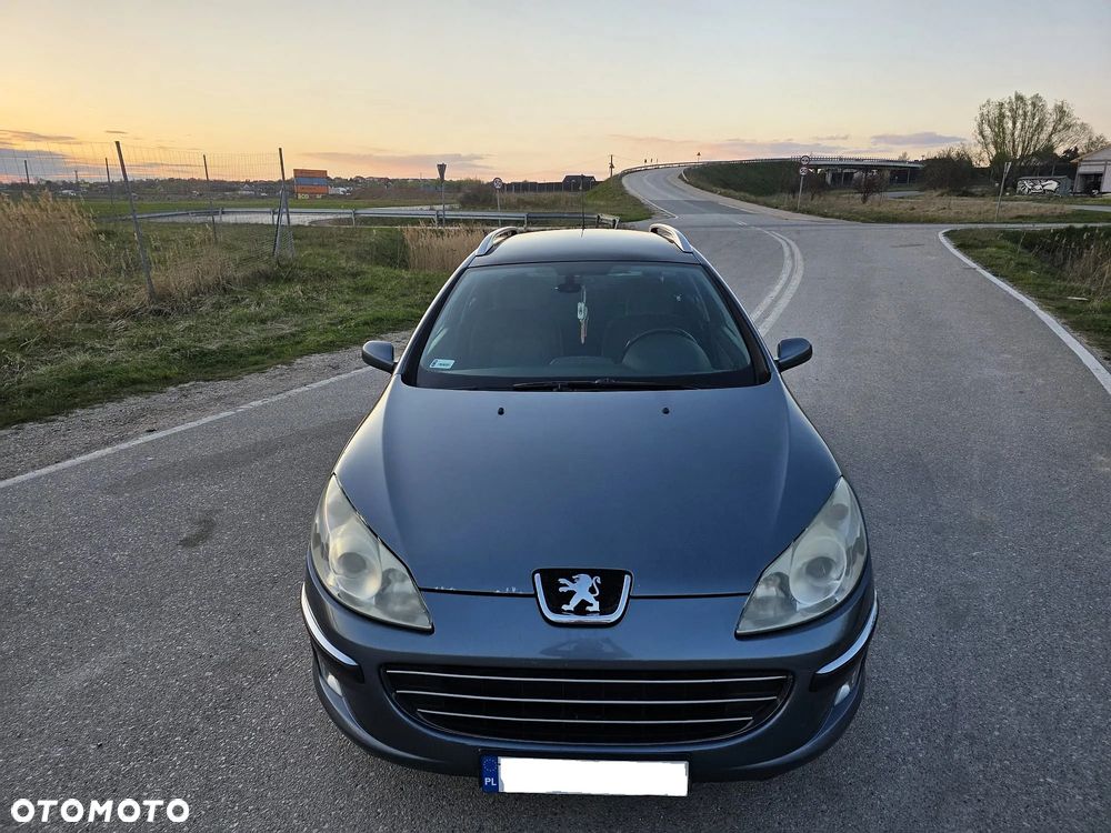 Peugeot 407 135 - 2