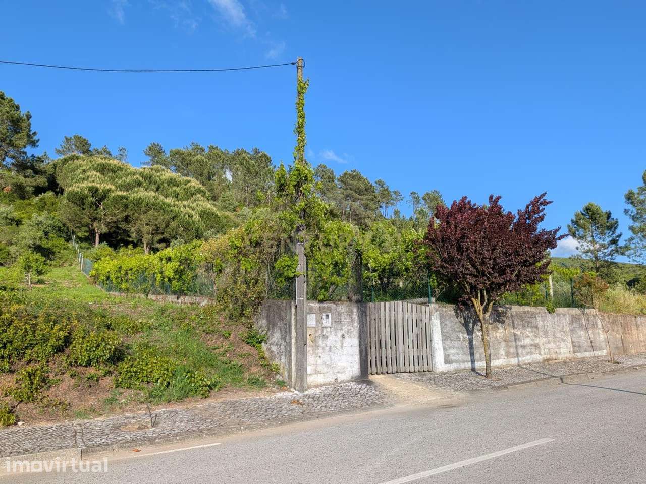 Terreno Urbano com Potencial de Construção, Porto de Mós, Centro da Ci - Grande imagem: 2/5