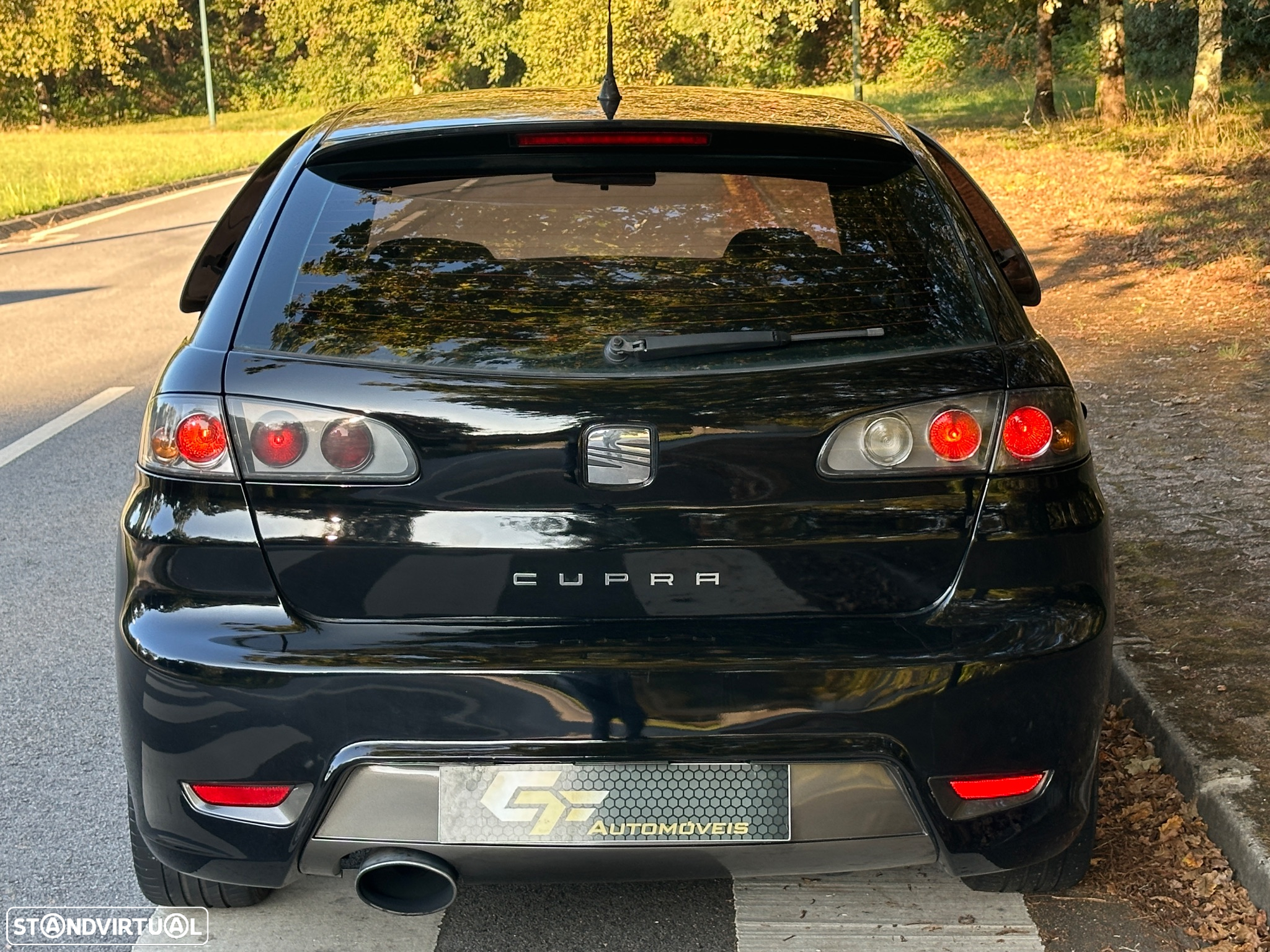 SEAT Ibiza 1.9 TDi Cupra - 15