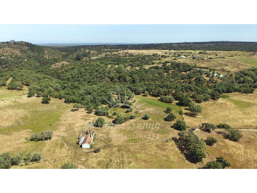 Terreno Misto - São Francisco da Serra - Melides - Grande imagem: 5/32