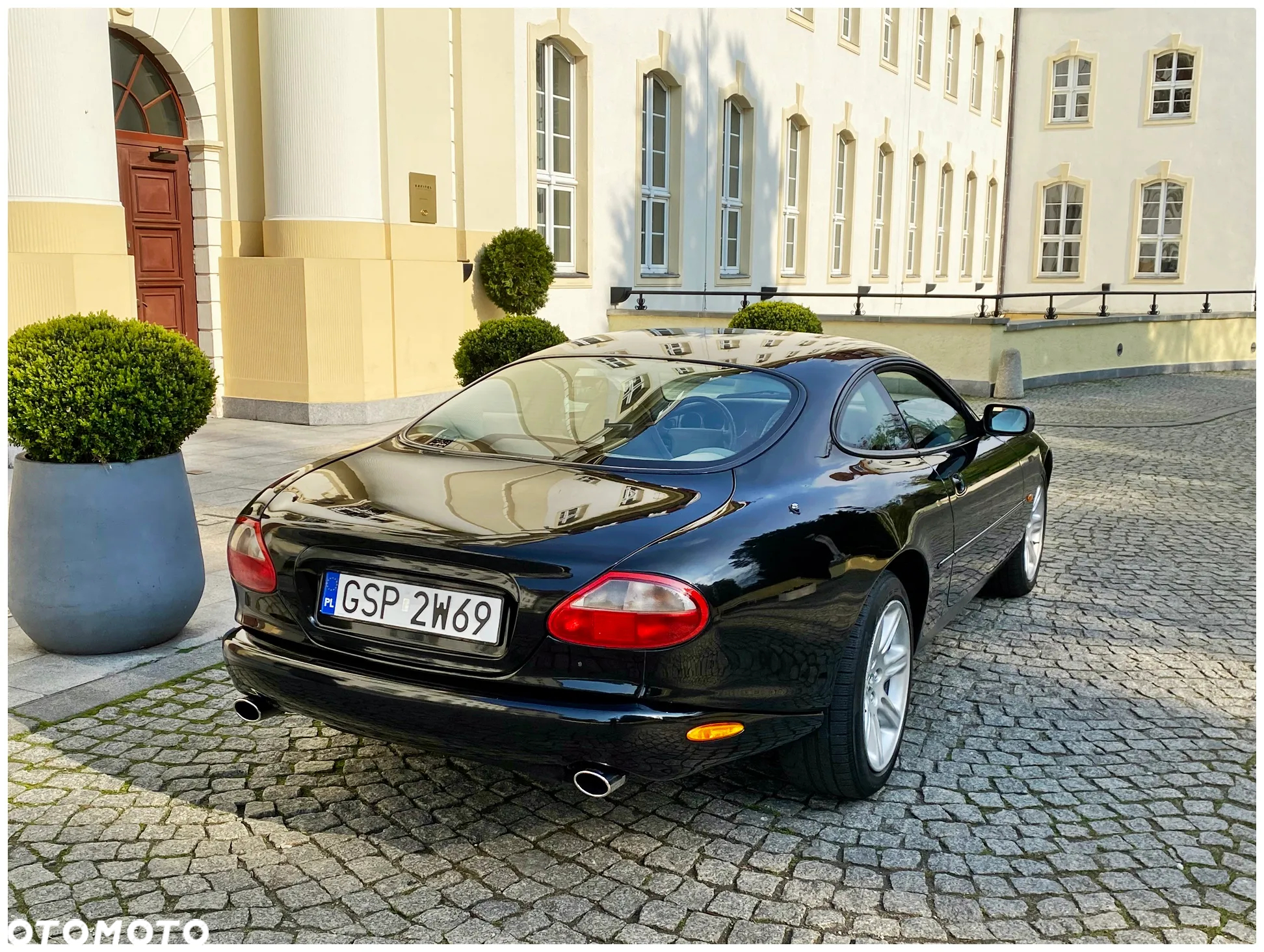 Jaguar XK - 25