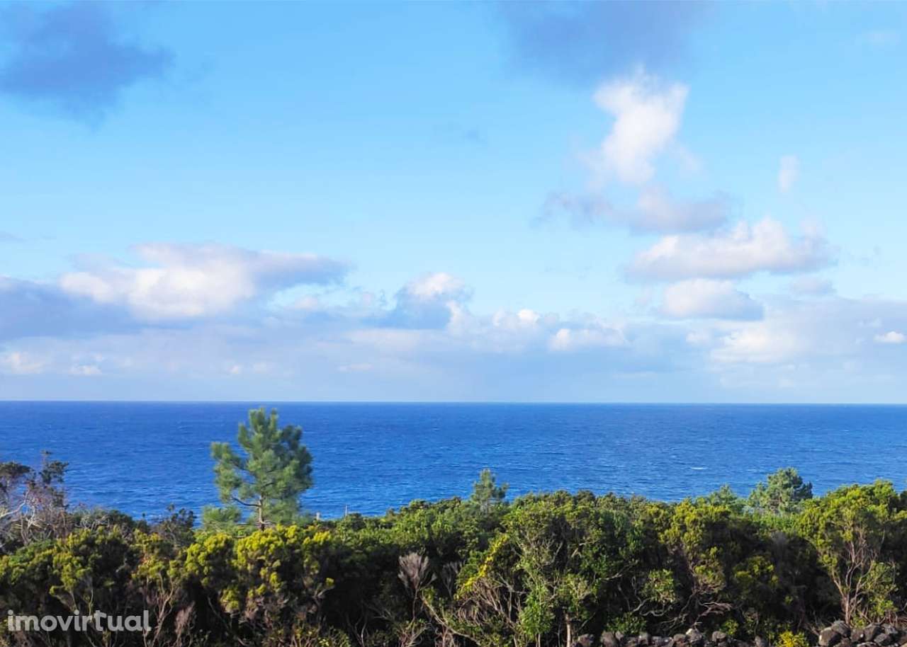 Terreno grande (+5000m2) com Projecto Aprovado e vista para o Mar! - Grande imagem: 2/18