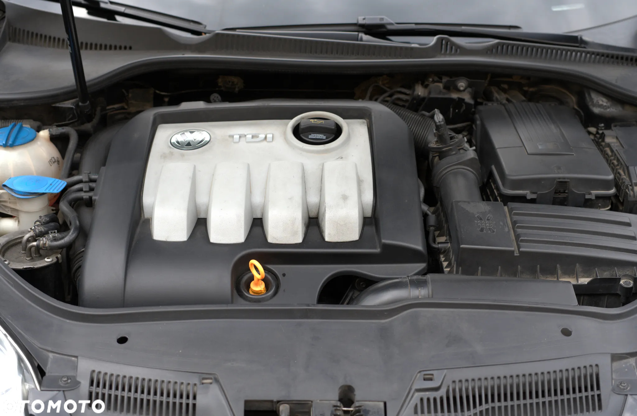 Volkswagen Golf V 1.9 TDI Trendline - 10