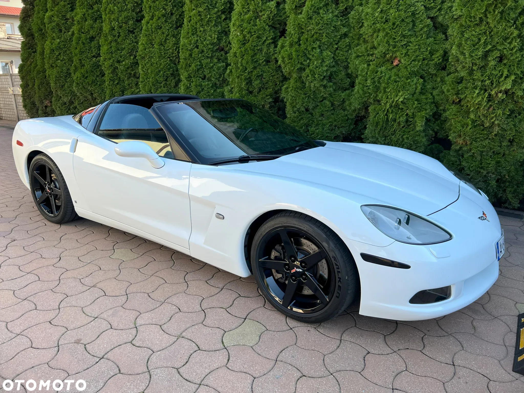 Chevrolet Corvette 6.0 V8 - 26