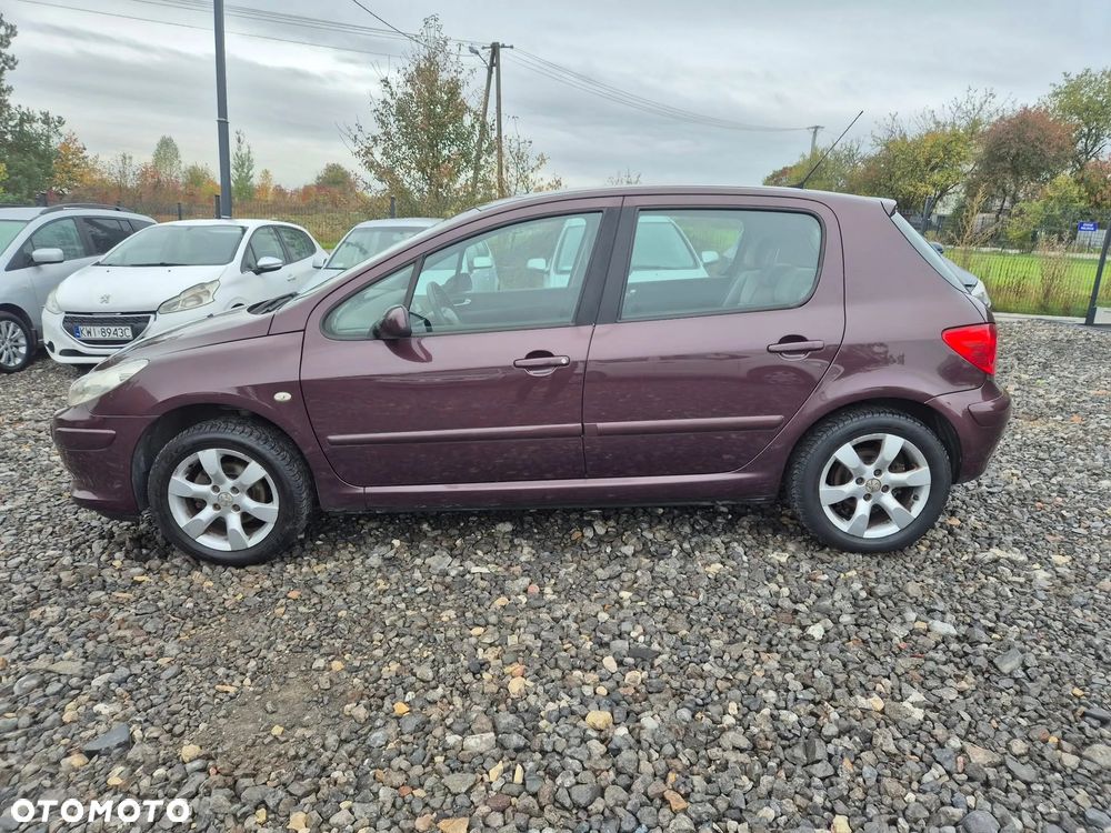 Peugeot 307 1.6 Premium - 9