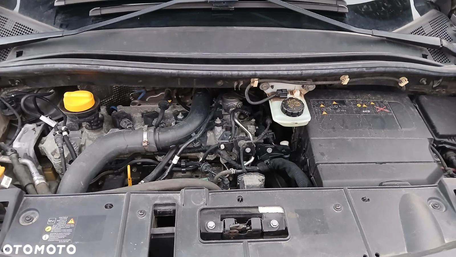 Renault Scenic - 12