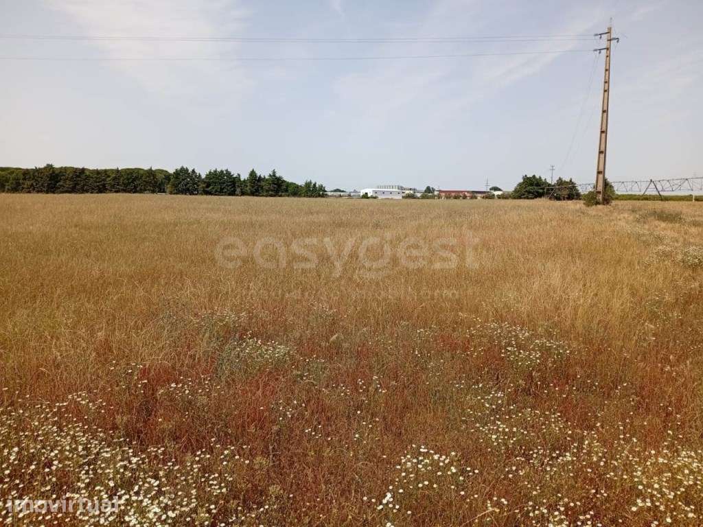 Terreno Rústico com Armazém Agrícola - Grande imagem: 3/20