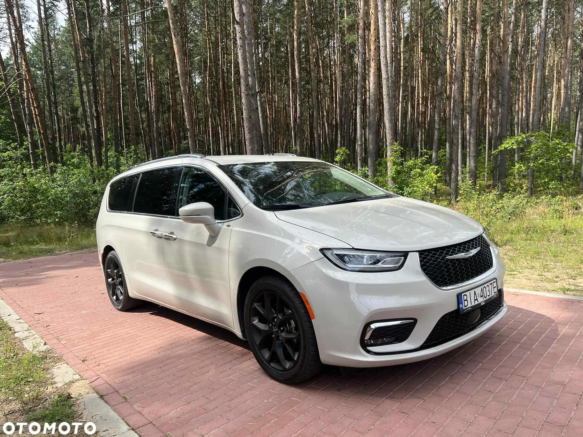 Chrysler Pacifica - 12