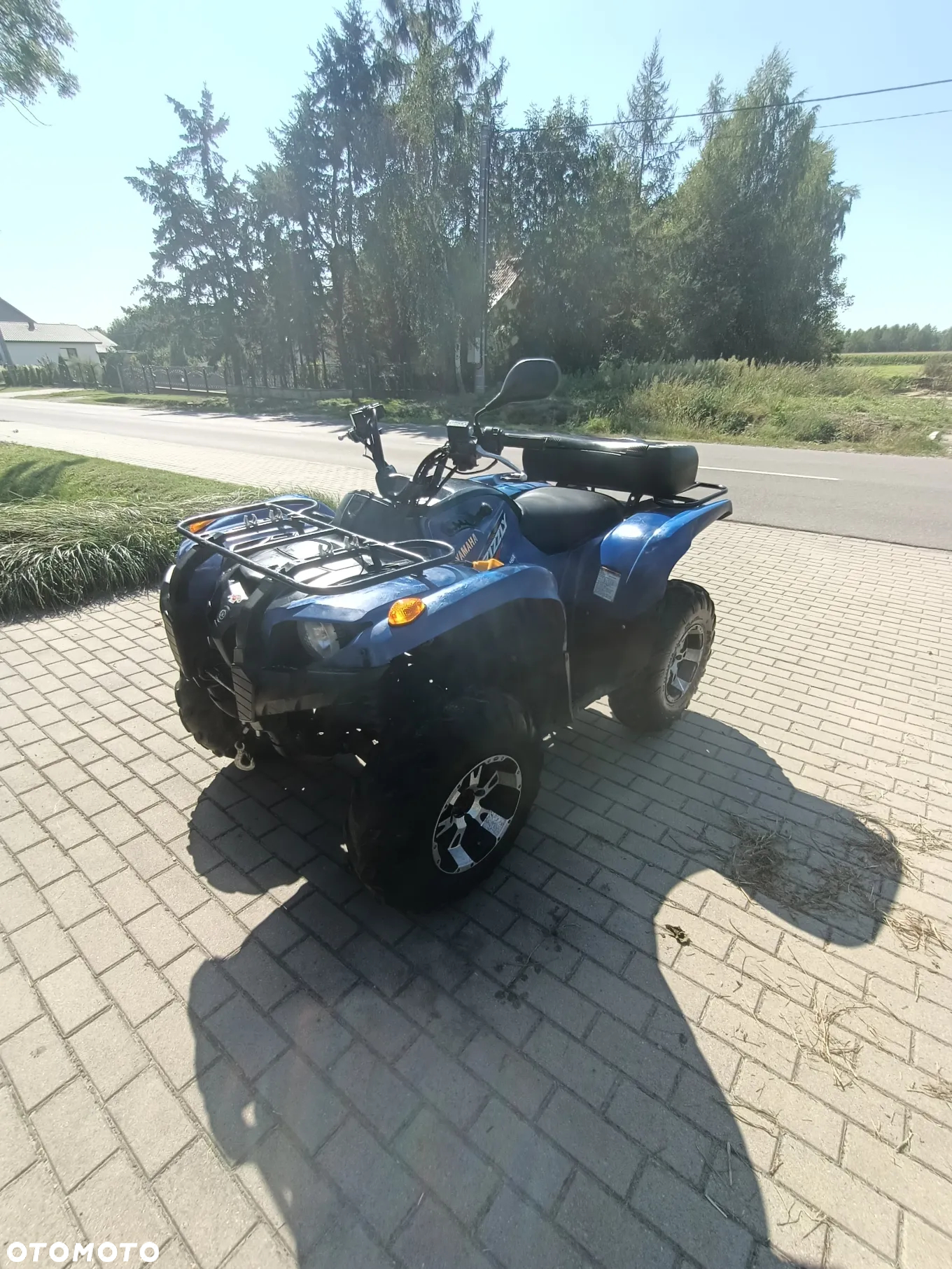 Yamaha Grizzly