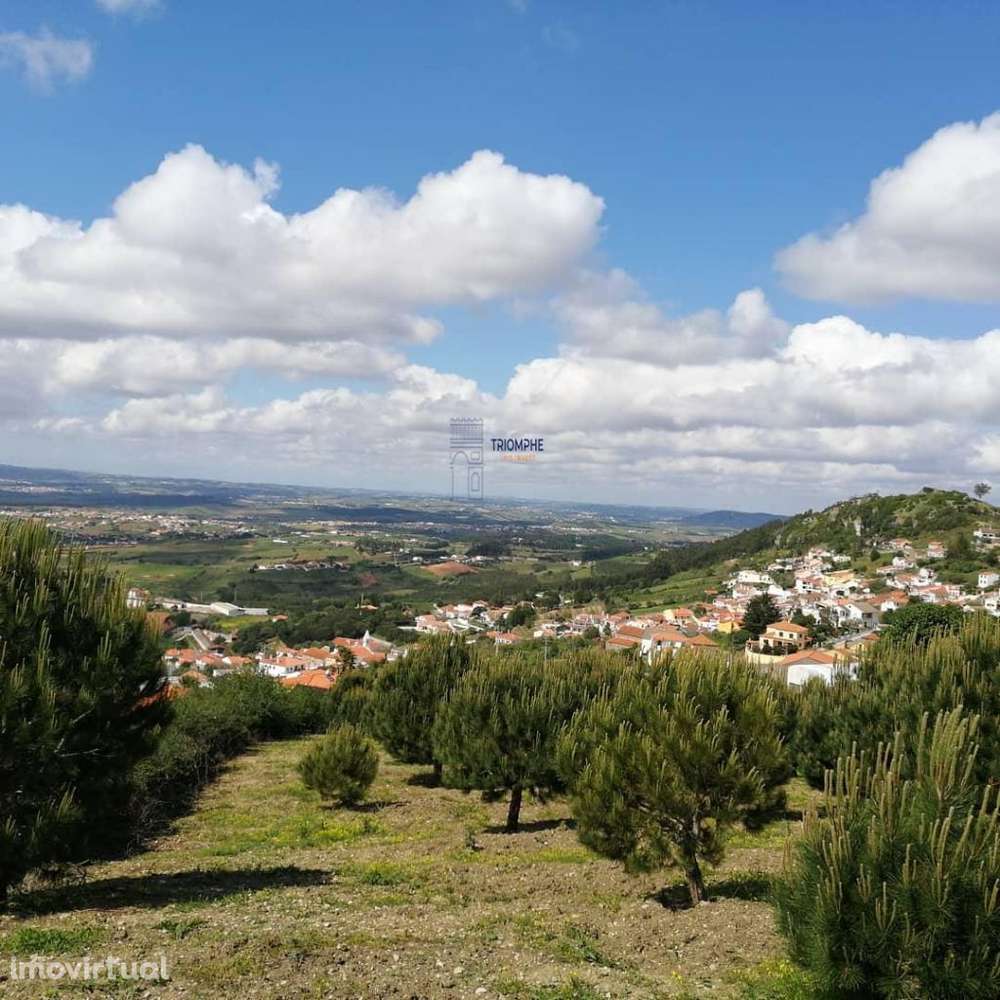 Terreno Misto com área total 7040 m2 Cadaval - Grande imagem: 4/7