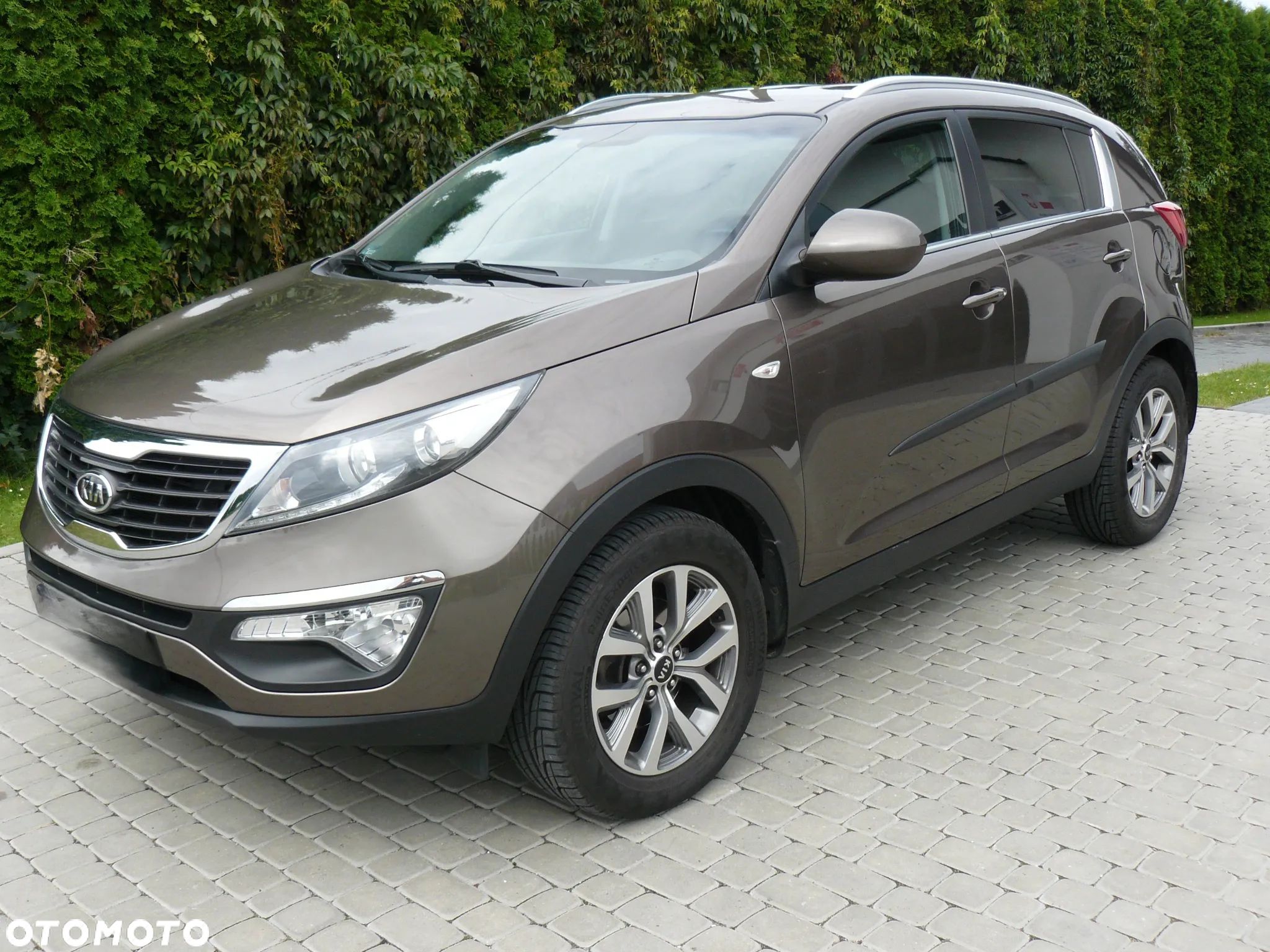 Kia Sportage - 1