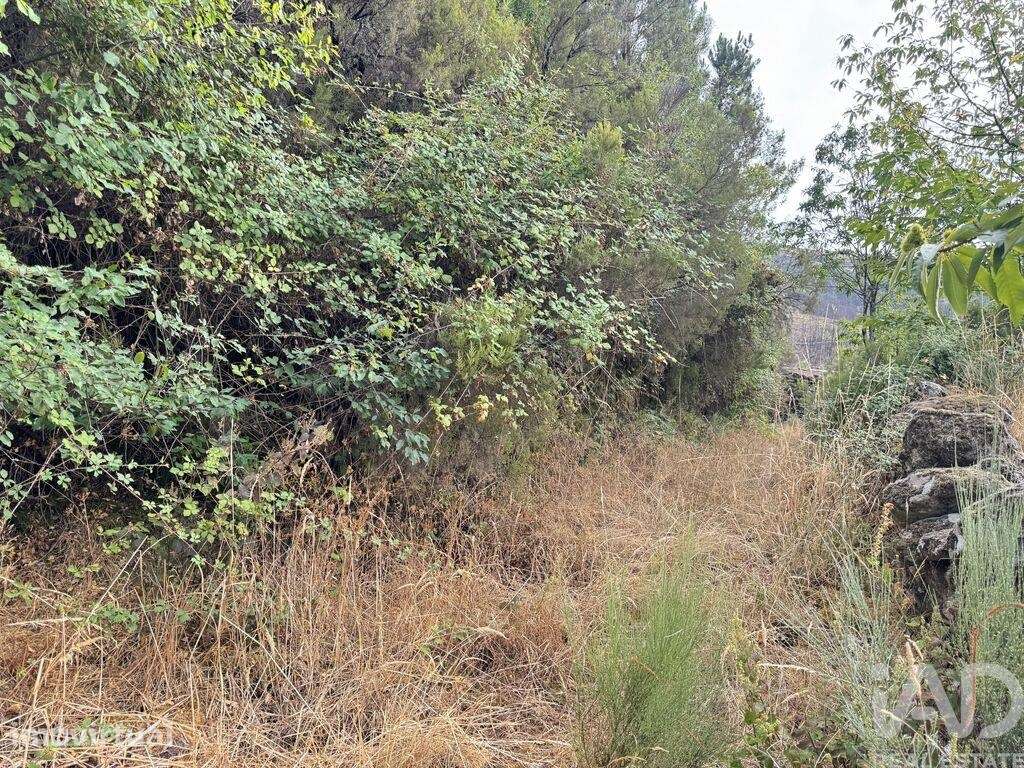 Terreno em Alvoco da Serra - Grande imagem: 2/3