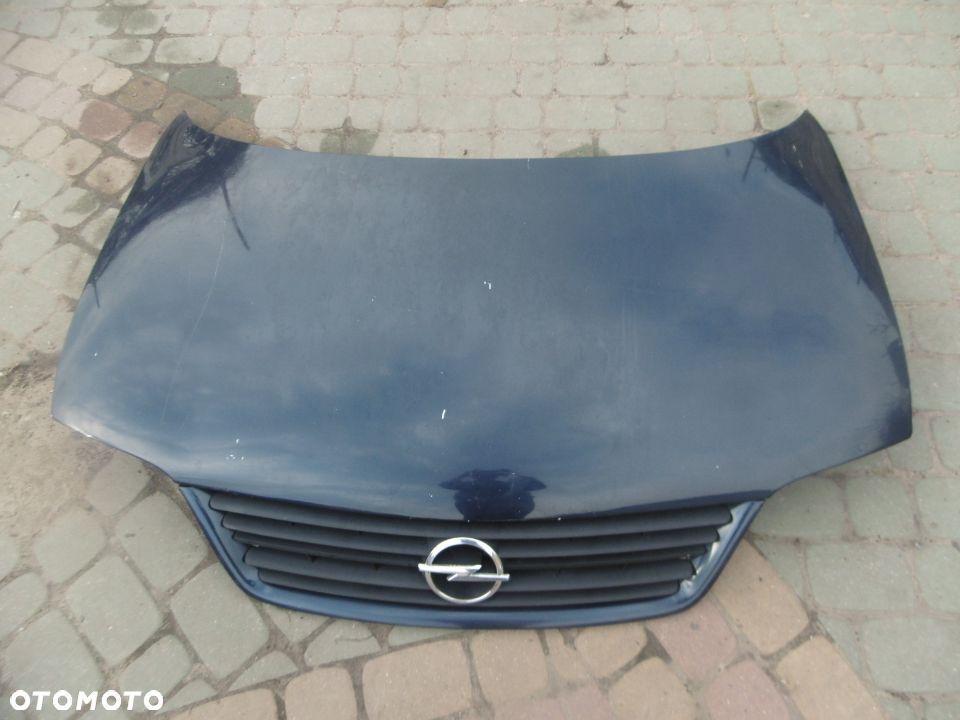 Maska Grill Opel Sintra - 1