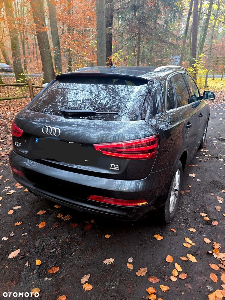 Audi Q3 2.0 TDI Quattro Edycja Specjalna - 7