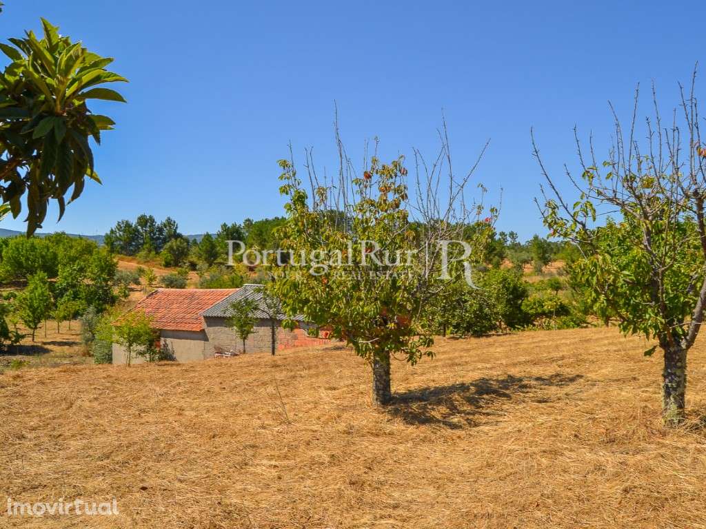 Terreno para cultivo com anexo, nos Montes da Senhora - Grande imagem: 3/15
