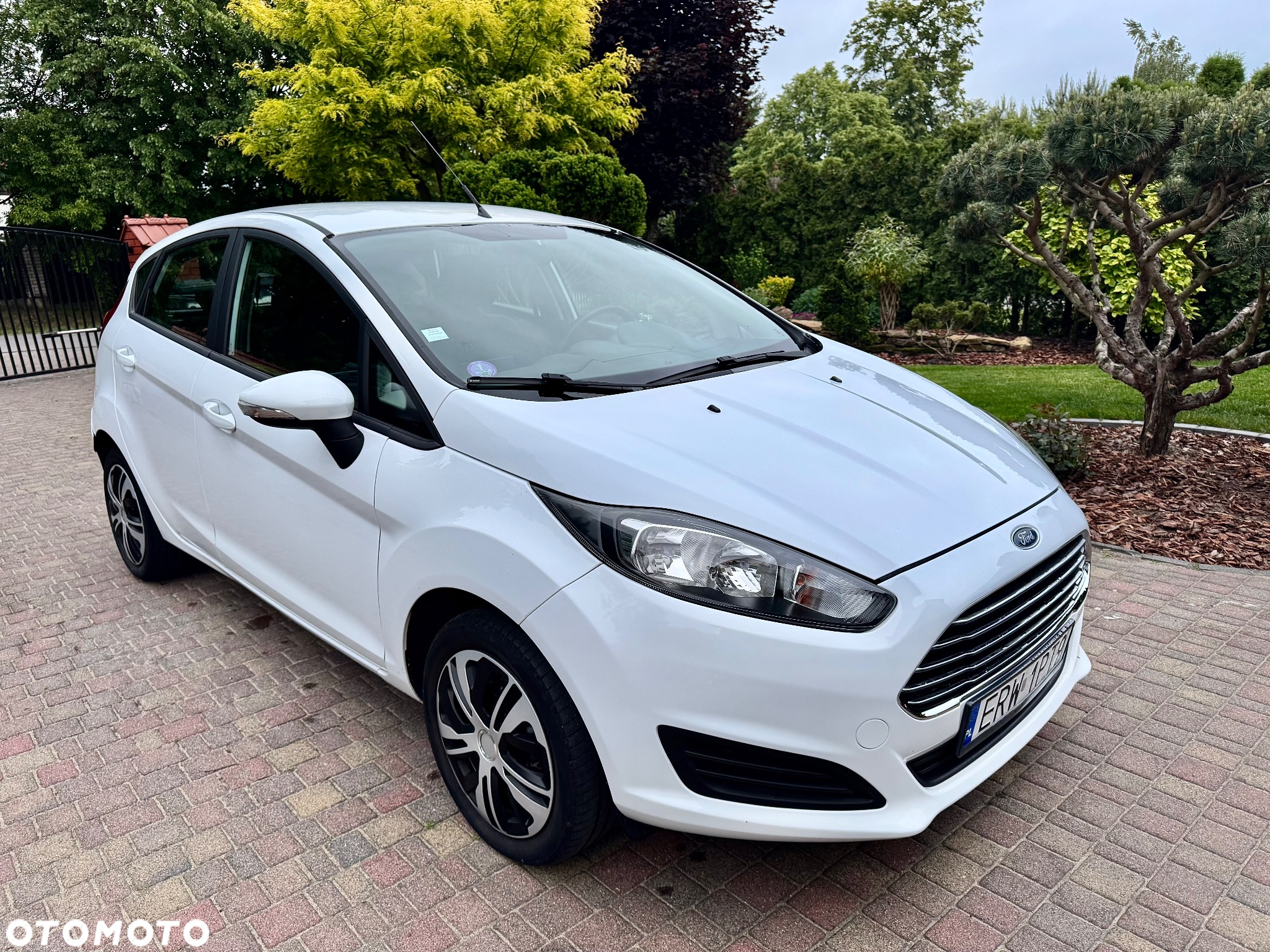Ford Fiesta - 11