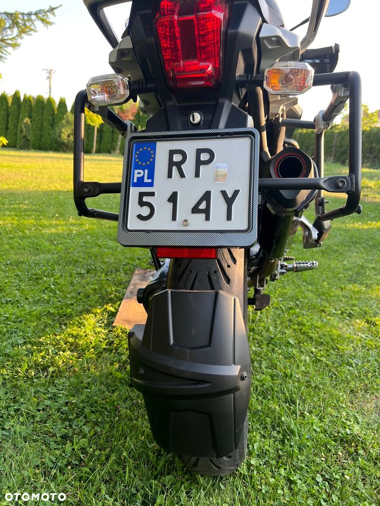 Triumph Tiger - 14