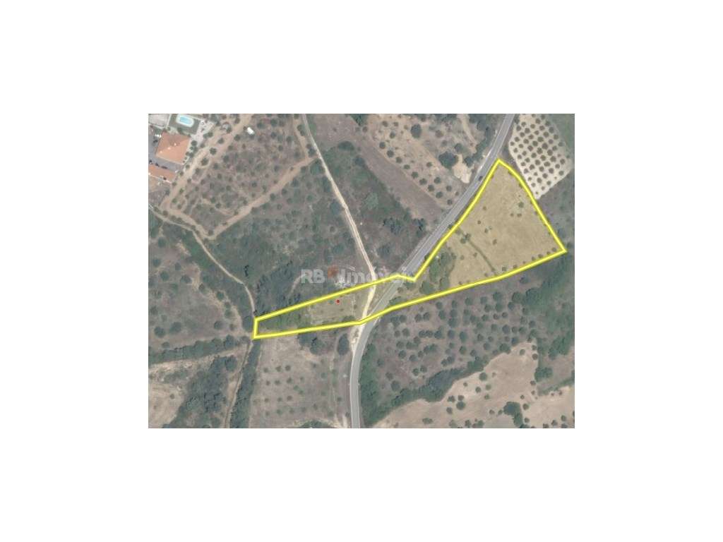 Terreno Rústico com poço 7560m² - Lameiras, Pousos, Torres Novas - Grande imagem: 3/24