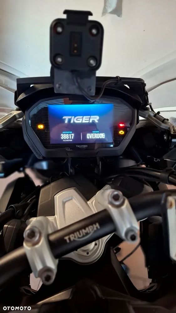Triumph Tiger - 6
