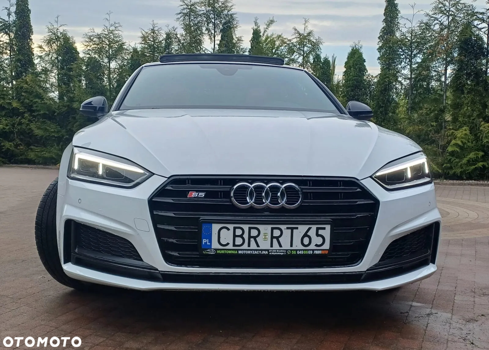 Audi S5 3.0 TFSI Quattro Tiptronic - 9
